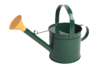 Watering Can Lisa Image